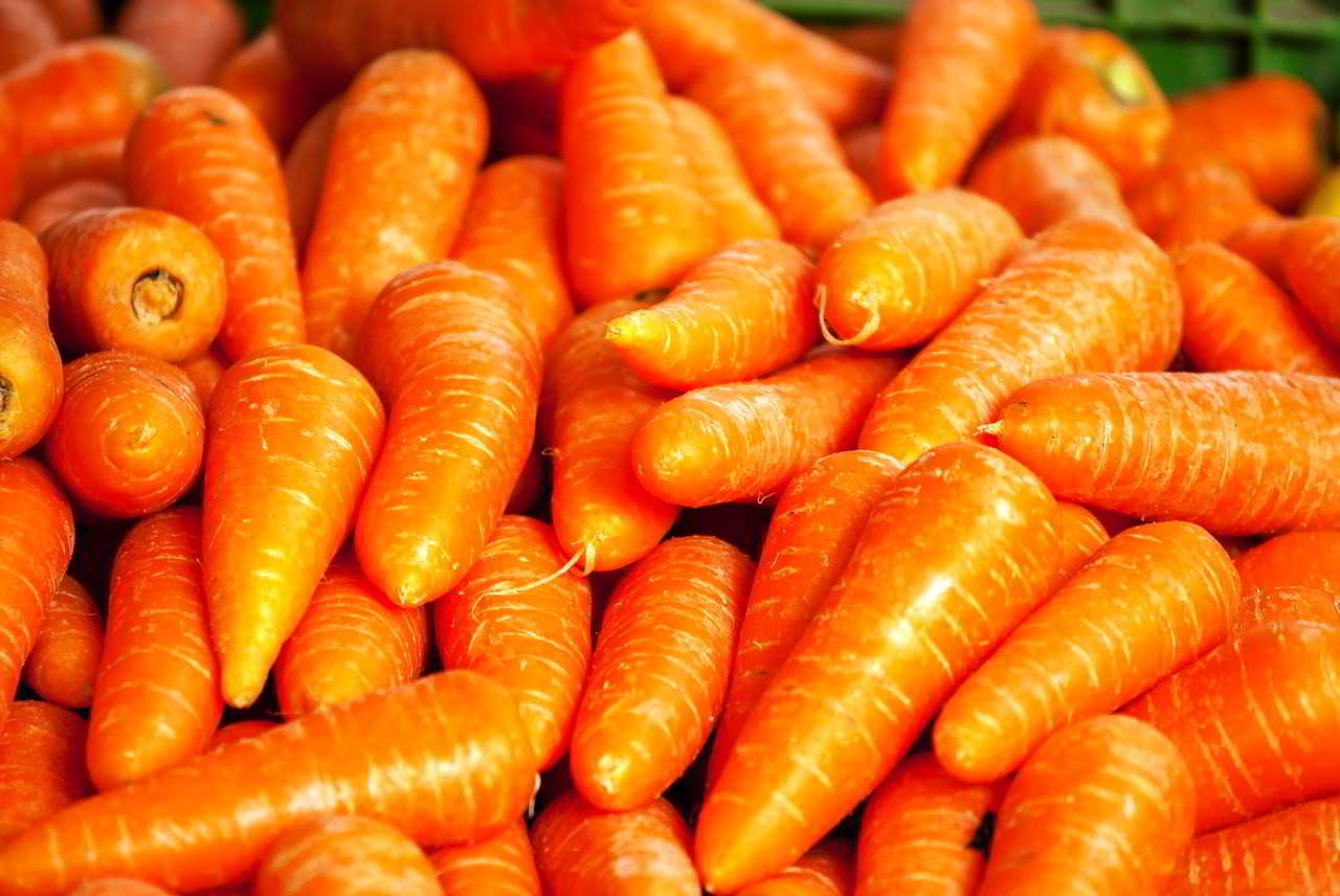 Морковь красная